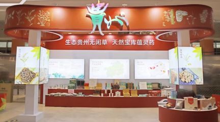 黔藥出山新窗口 貴州中藥材館常駐亳州，近400種道地藥材集中亮相